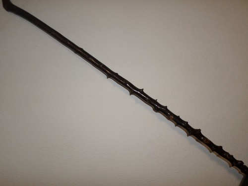Blackthorn walking stick - blackthorn,
