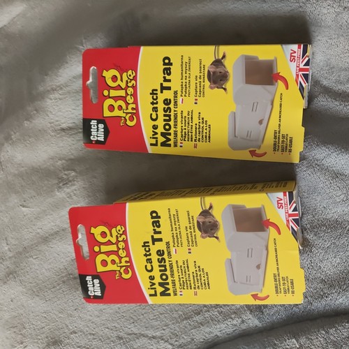 Big cheese live catch mouse - live,