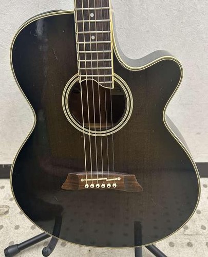 Takamine 108 vintage - takamine, pt-108-6