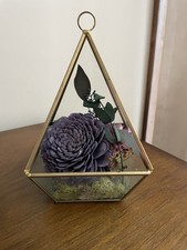 Vtg Geometric Glass Terrarium Tabletop Hanging Planter for Succulent