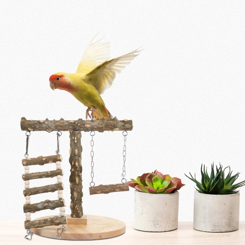 Parrot playstand bird play - playstand,