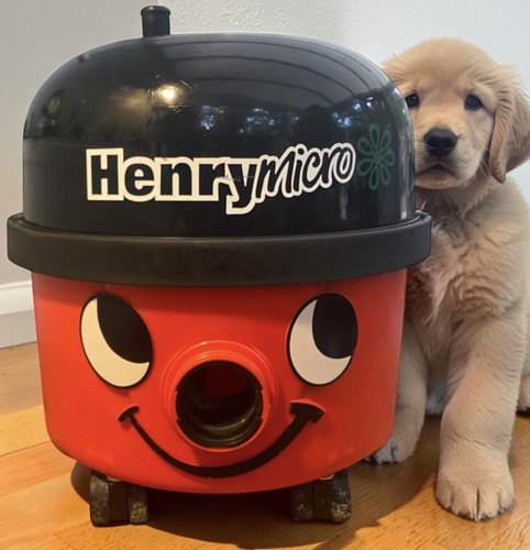 Henry micro hoover - micro, hoover/vac