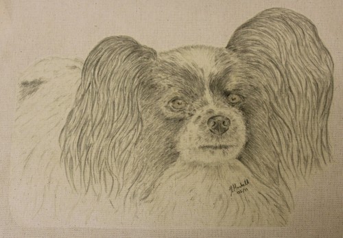 Papillon dog original - original, art