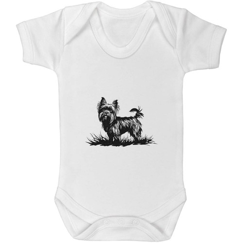 Yorkshire terrier grass - terrier, on