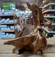 Derwen Oak Bogwood 18-34cm