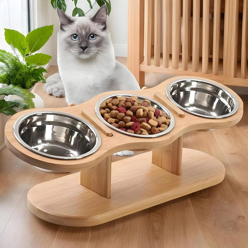 Cat dog food feeding - dog,