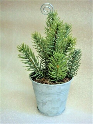 New tiny christmas tree - tiny, in