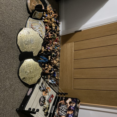 Massive wwe collection - wwe,