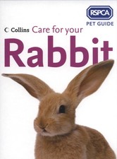 Care for your rabbit