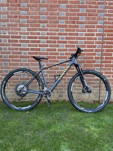 Grey canyon hardtail - hardtail, mountain