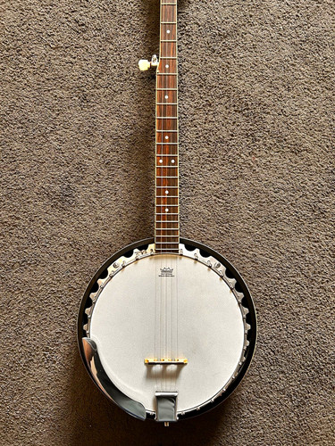 Pilgrim string banjo closed - pilgrim,