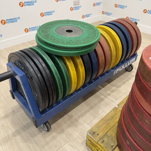 Werksan lionfit competition - werksan,