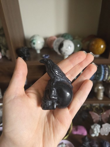 Obsidian skull with crow - skull,