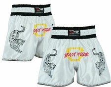 EVO Muay Thai Kick Boxing Cage