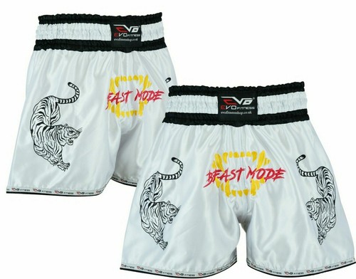 Evo muay thai - evo,