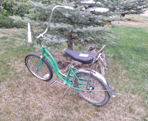 1965 schwinn stingray deluxe - 1965,