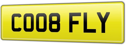 Pigeon racing van - reg, number