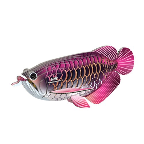 Eugy asian arowana - arowana, model