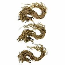 Superfish Bonsai Wave Tree