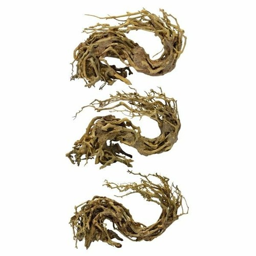 Superfish bonsai wave - bonsai, tree