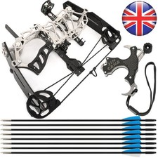 Mini Compound Bow Arrow Set