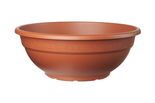 Terracotta bowl plant pot - terracotta,
