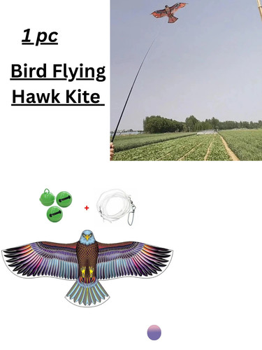 Anti bird flying - bird, kite