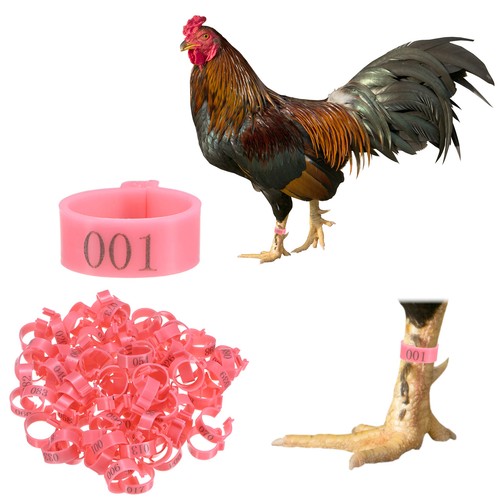 100 pack chickens leg bands - 100-pack,