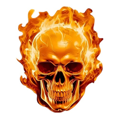 Flaming skull decal vinly - skull,