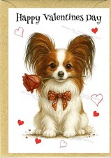 Papillon Butterfly Dog
