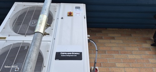 Cold room walk freezer - walk-in,