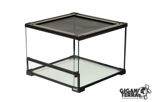 30x20x20cm glass nano reptile - glass,