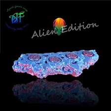 Alien Special Edition Frag Rack Rock With Plugs Zoas Coral Holder Pink & Blue
