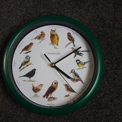 Jml starlyf birdsong wall - jml,