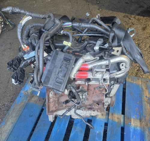 2013 nissan qashqai 5 - 2013-17, 1.5