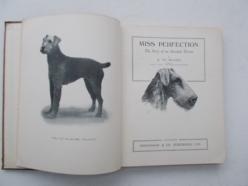 Miss perfection vic beamish - miss, by