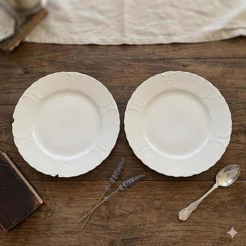 Antique haviland limoges - haviland,