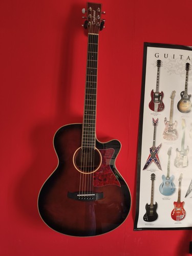 Tanglewood winter leaf tw4e - tanglewood, wb
