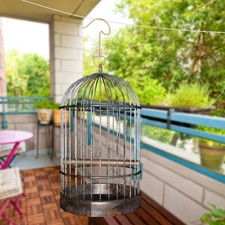  Bird Cage Hook Metal Cage
