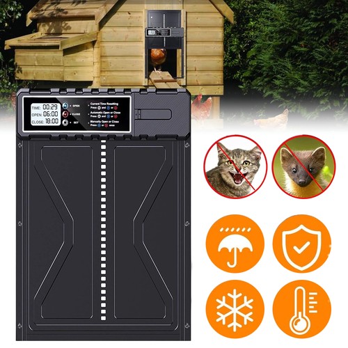 Automatic chicken coop door - coop,