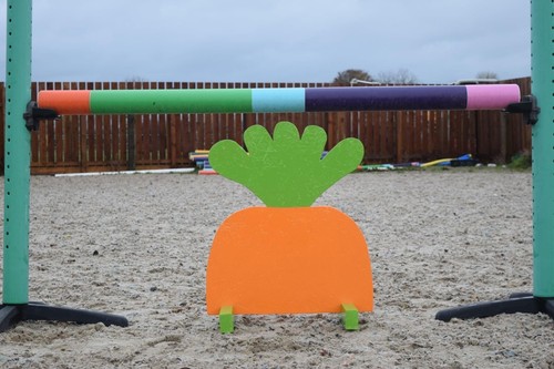 Carrot show jump fillers - fillers,