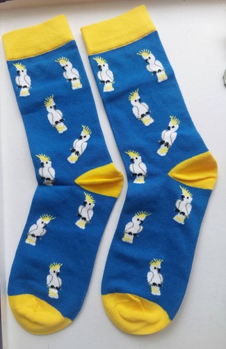 Novelty cockatoo socks white - cockatoo,