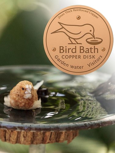 Bird bath copper - bath,