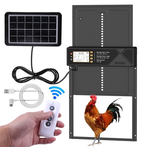 Electric chicken door - chicken,