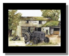 Ferguson TE20 tractor and