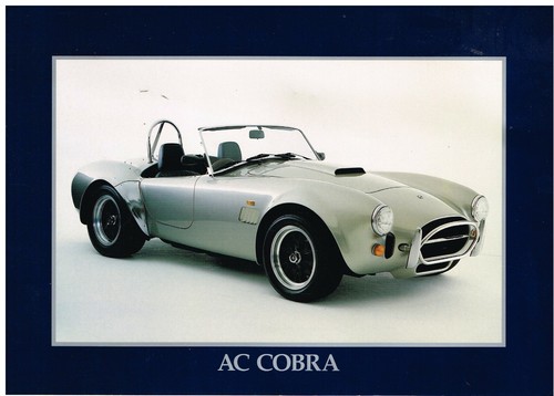 Cobra 302 with - (with, v8