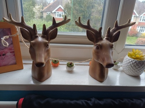 Wood shade stag head - wood, ornament
