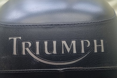 Triumph thunderbird 900 sport - triumph,