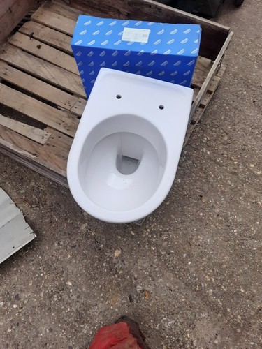Wolsely wall hung toilet - wall,