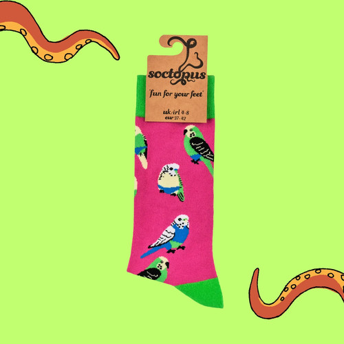 Soctopus budgie socks - budgie, ladies